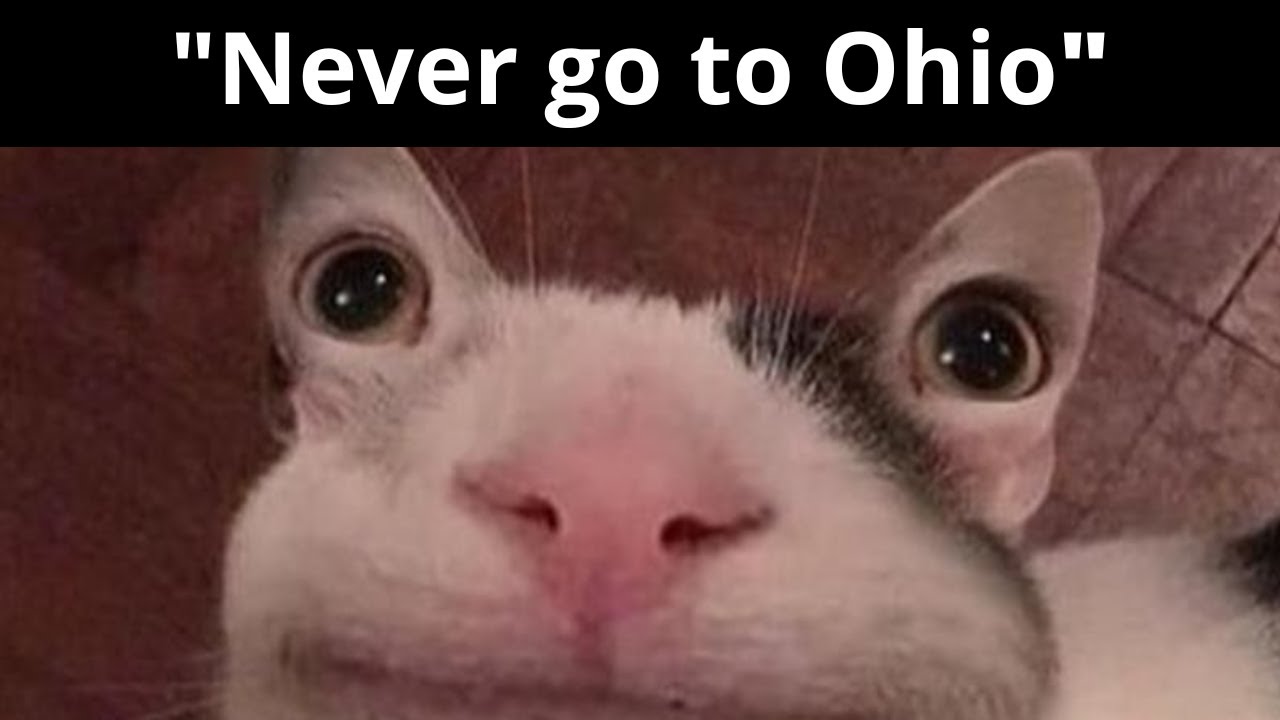 Mega Ohio Compilation... | Full Story | Beluga | Kahoot |