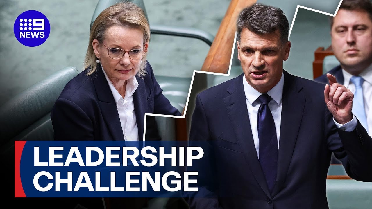Angus Taylor launches a bid to oust Sussay Ley | 9 News Australia