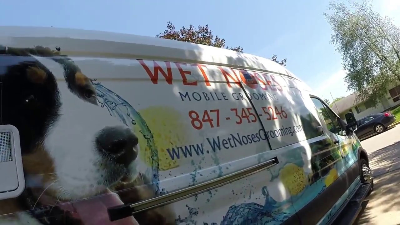 Wetnoses Mobile Grooming Van Walk Through