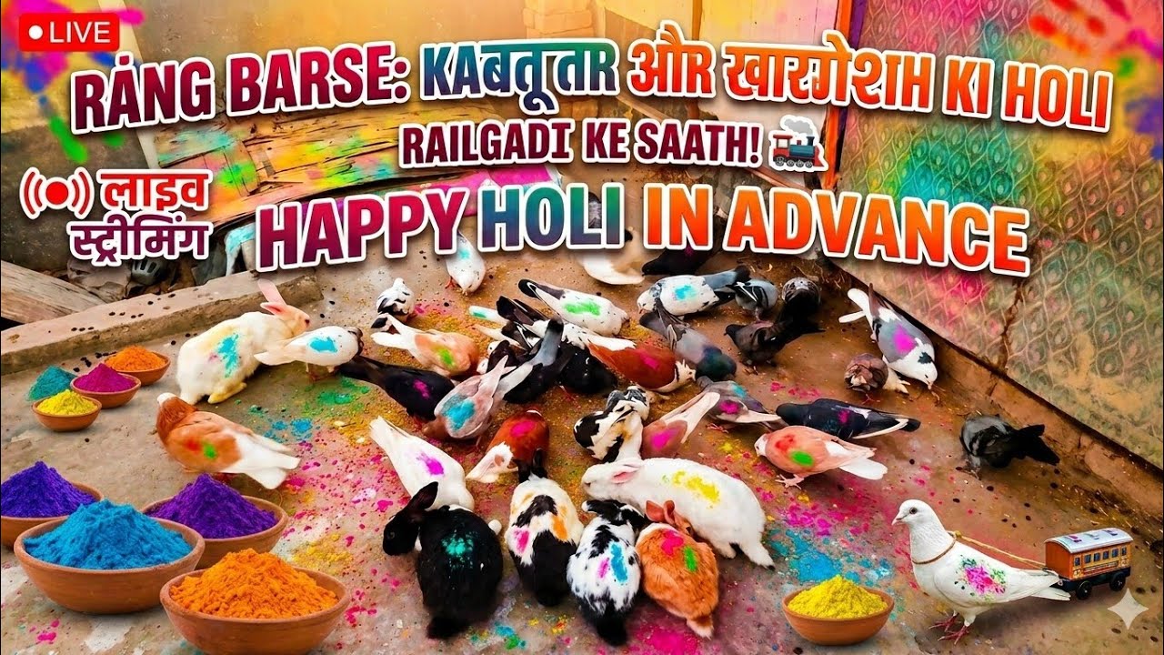 Happy Holi in advance All of you 💞🔫 Cute Animals Eating 🌿🥬💞🦜😘
