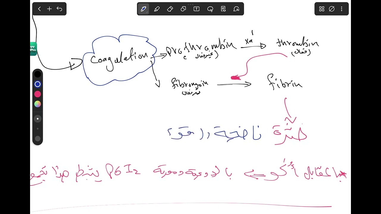 CVS-anticoagulant part3تدريب صيفي