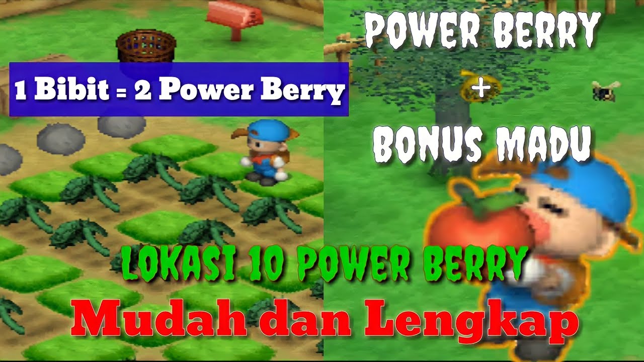 Cara Mendapatkan 10 Power Berry HMBTN || HARVEST MOON BACK TO NATURE