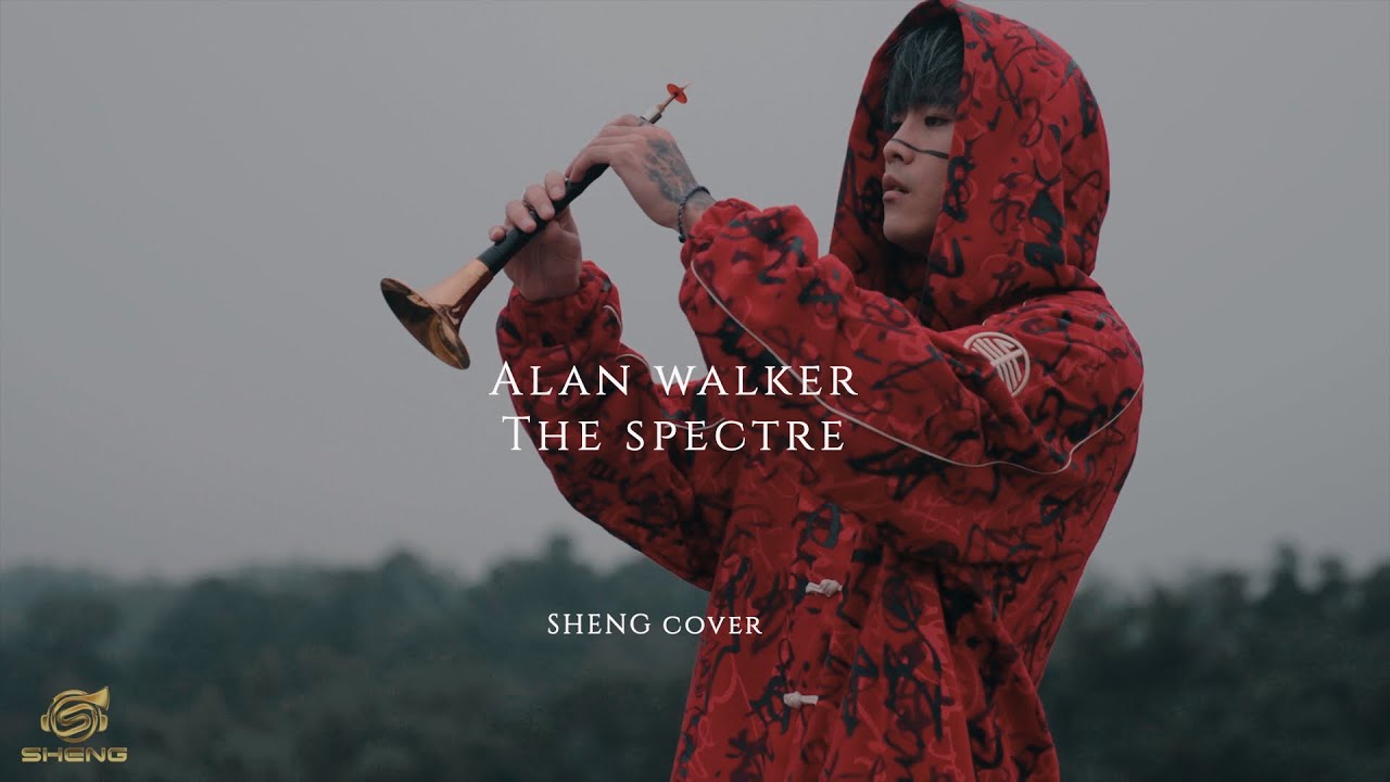 Alan Walker - The Spectre 【Taiwan Folk instruments】SHENG