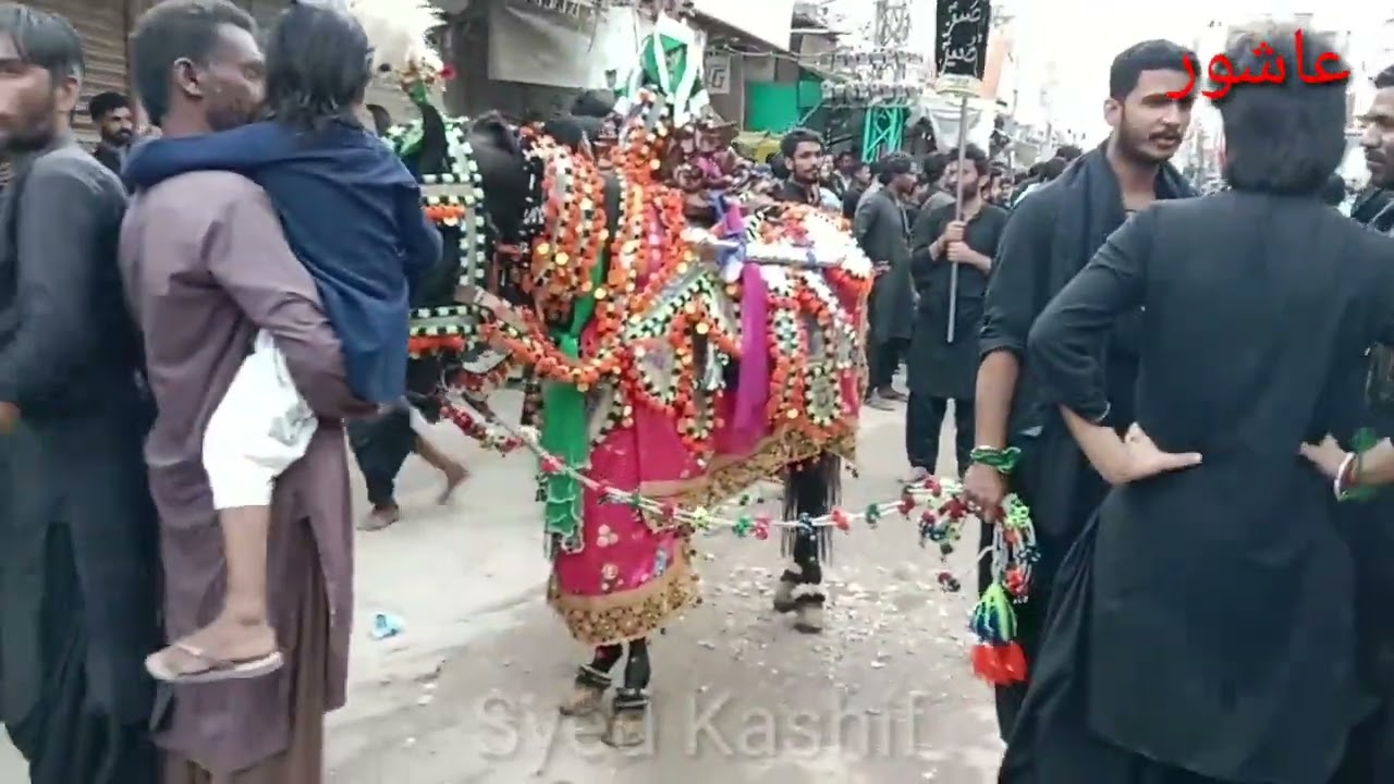 10 mohram 2023 kotri Imambargha Syed Jaffer Shah Surkh Bukhari