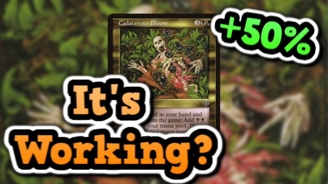 I Invested 100$ Into A Reserved List Card 6 MONTHS Ago...How Is It Doing?