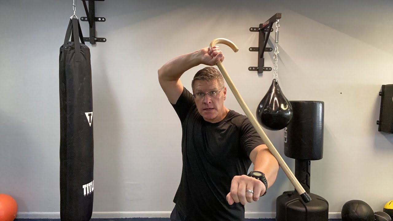 Martial Arts Cane Self Defense Techniques #3