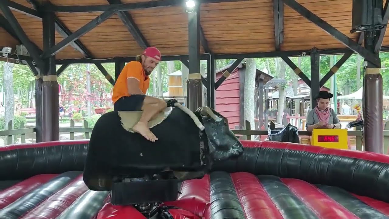 G БАТЯ - Bull by the horns