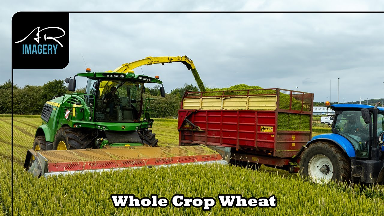 From Drilling to Cutting | John Deere 9900i with 6m Domai Header on Spring Wheat