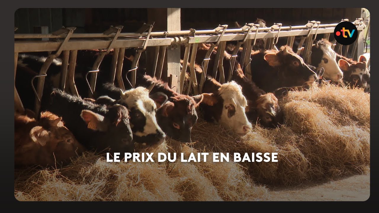 L'inquiétude des producteurs de lait en Bretagne