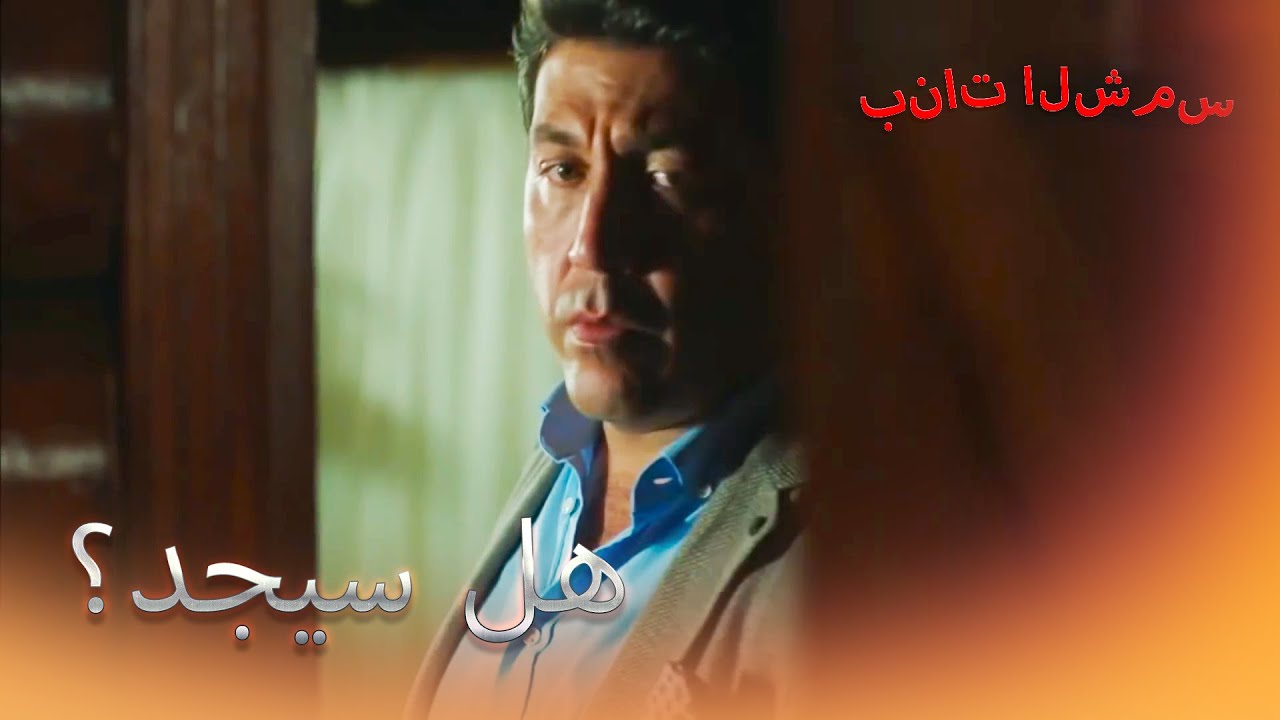 من جاء إلى مخبئهم؟ بنات الشمس الجزء 8