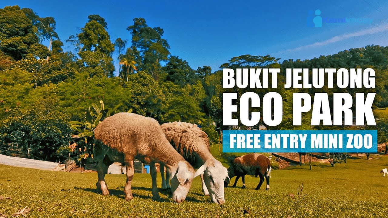 BUKIT JELUTONG ECO COMMUNITY PARK | FREE ENTRY MINI ZOO 🇲🇾 [4K]