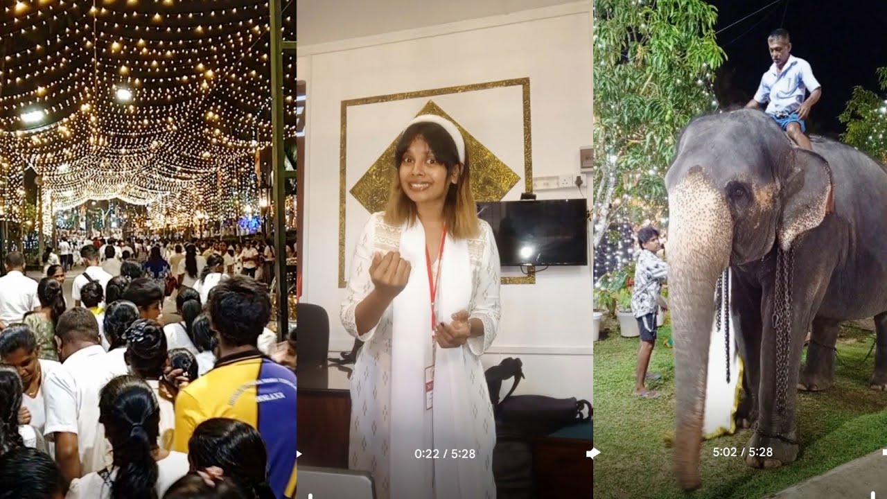 තවත් දවසක් #dayvlog 