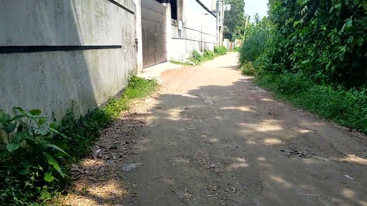 সাভার হেমায়েতপুর মাত্র ১ লাখ ১০ হাজার টাকা শতাংশ করে,মোট ৬ কাঠা জমি বিক্রি হবে#bd_property#land_sale