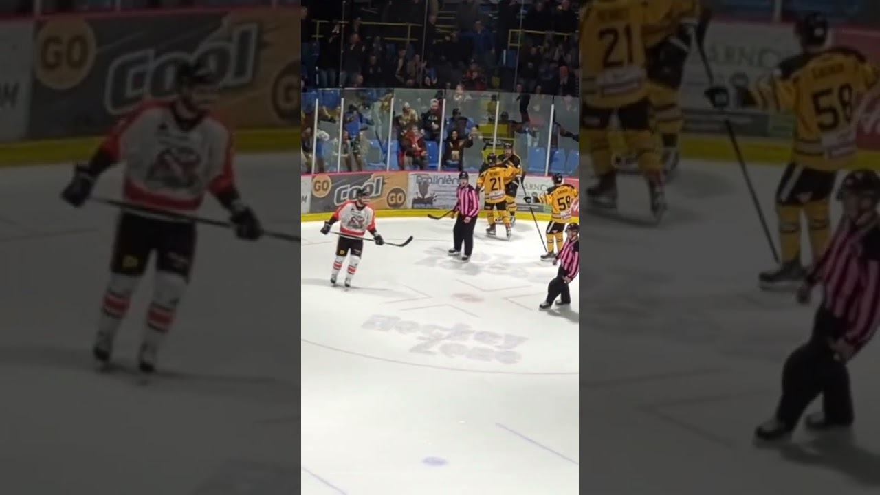 Yannick Tifu scores in OT to win the game and the top scorer of the league ! #hockey #qc #lnah #goal