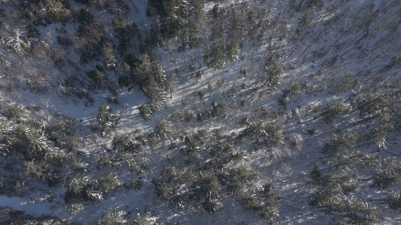 DJI 20260207102258 0050 D
