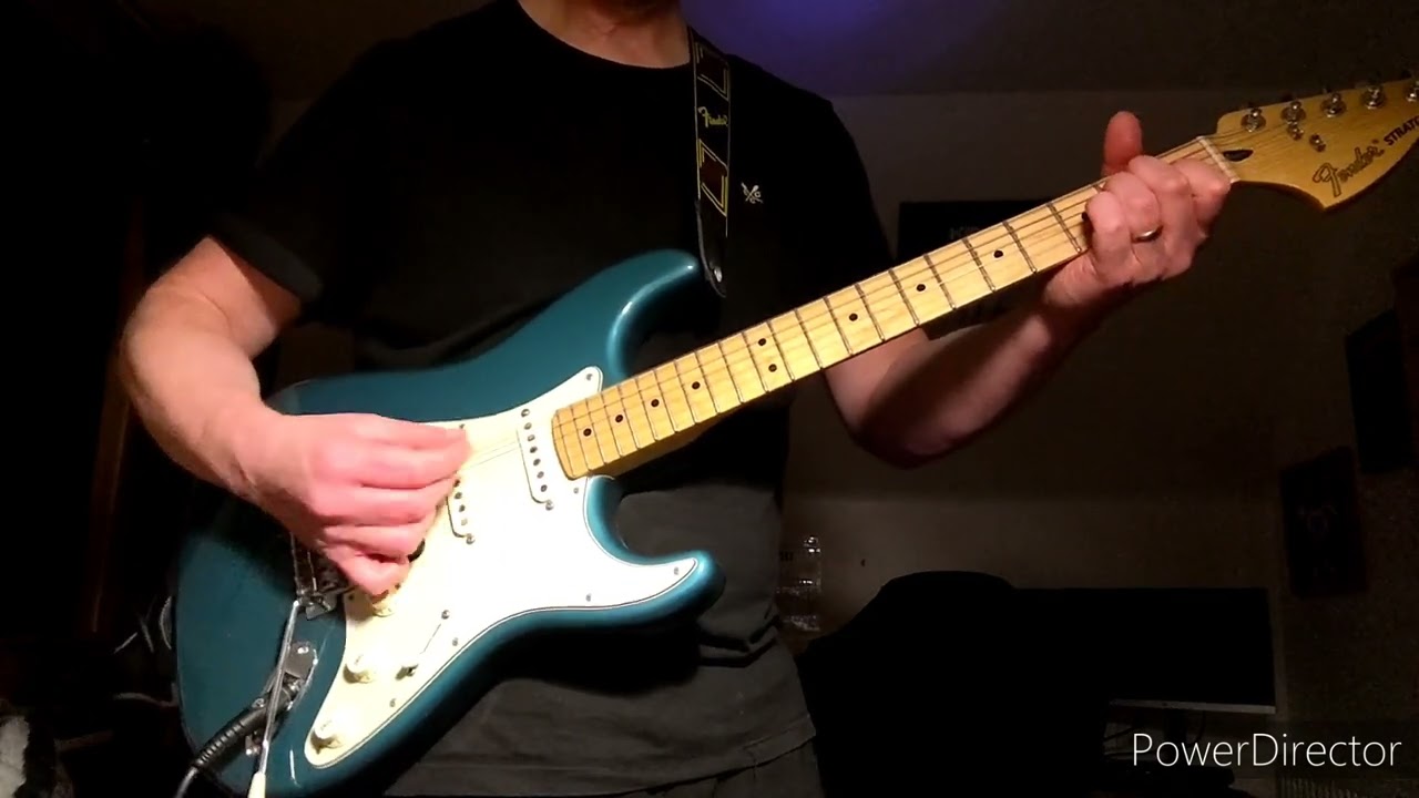 Don't Fade IV - Mudhoney - Guitar Cover