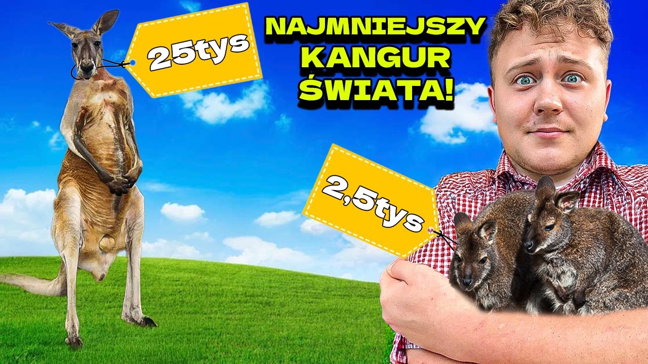 NAJMNIEJSZY KANGUR NA ŚWIECIE!