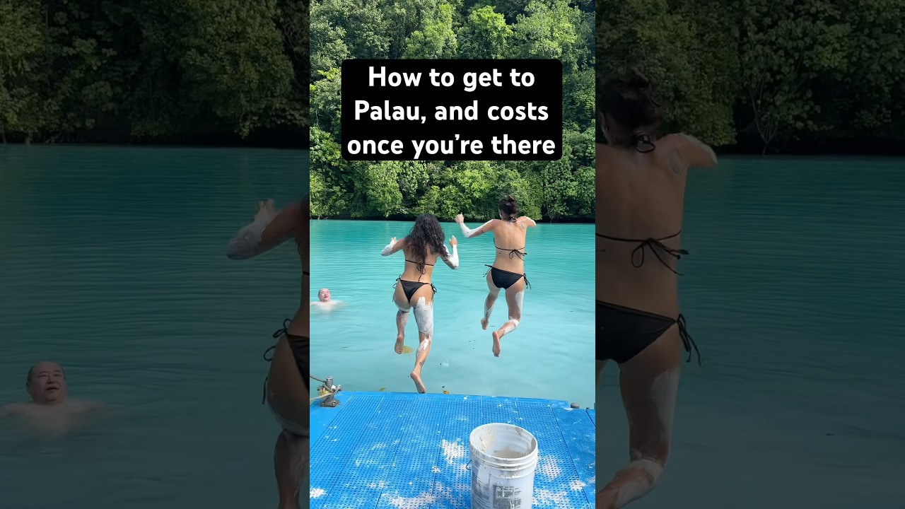 Палау: одна из самых изолированных стран #палау #путешественник #микронезия