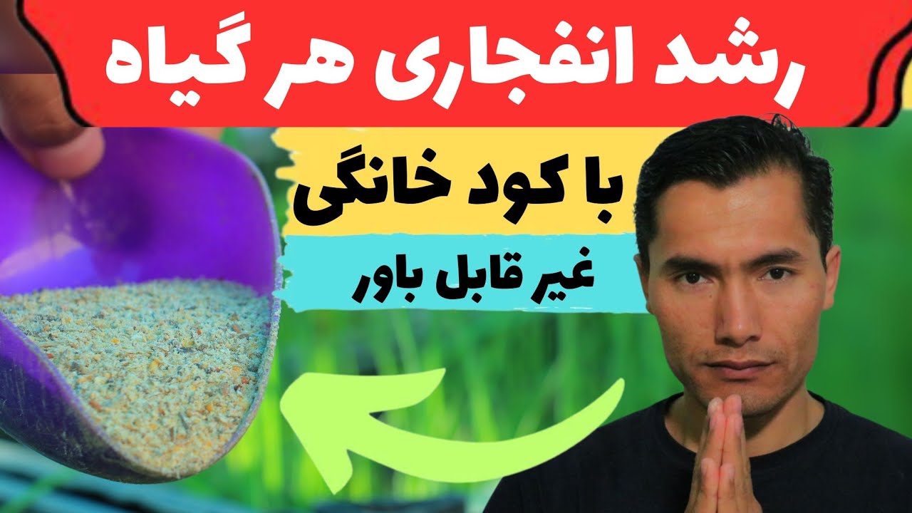 💥کود قوی و رایگان برای تمام درختان و سبزیجات | مخصوص بهار