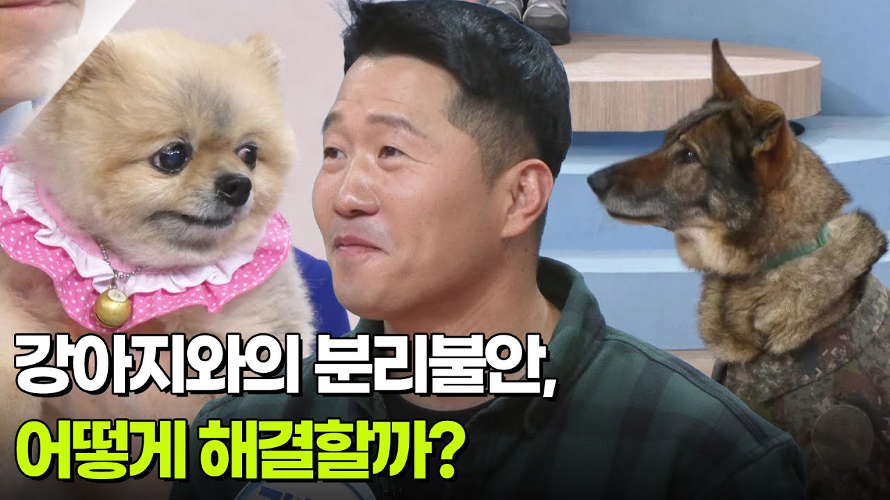 강아지와의 분리불안, 어떻게 해결할까? 강형욱 훈련사의 고민 상담 [아침마당] | KBS 260323 방송