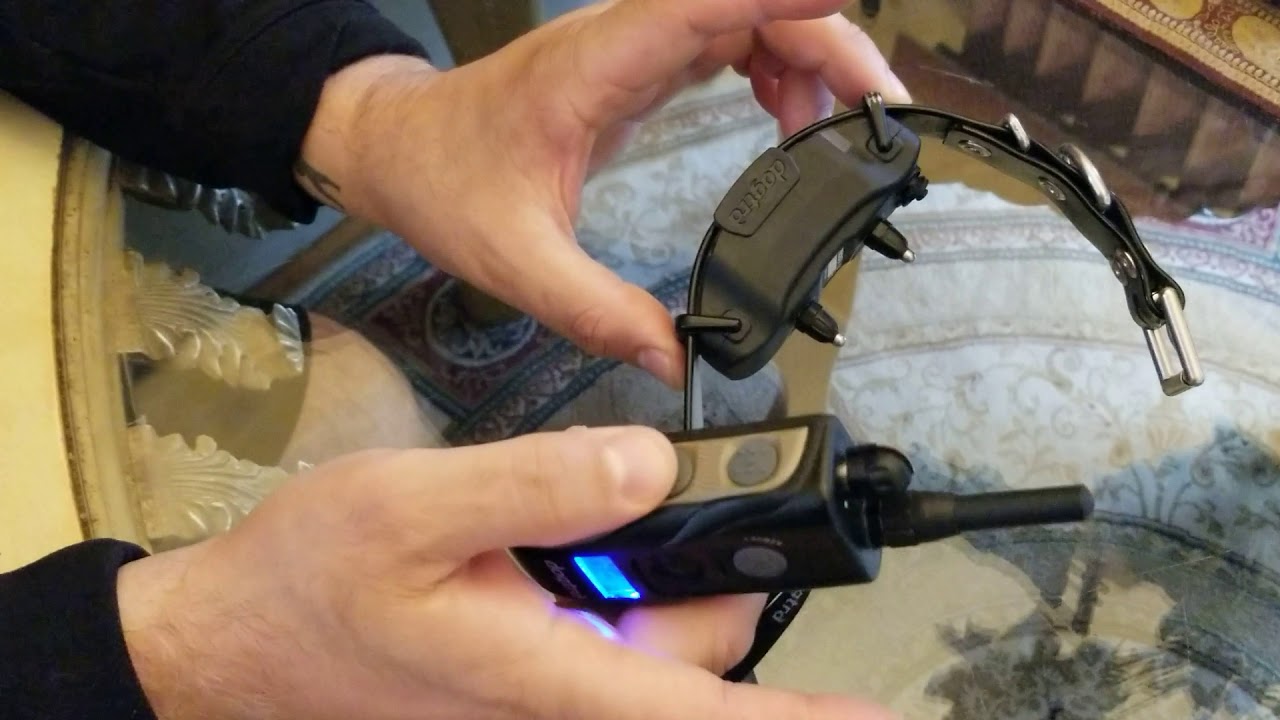 How to Use and Operate 1900 DogTra Remote /E Collar