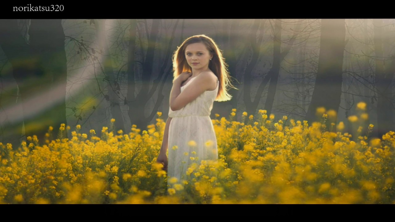 Almaz / ランディ・クロフォード (歌詞付)