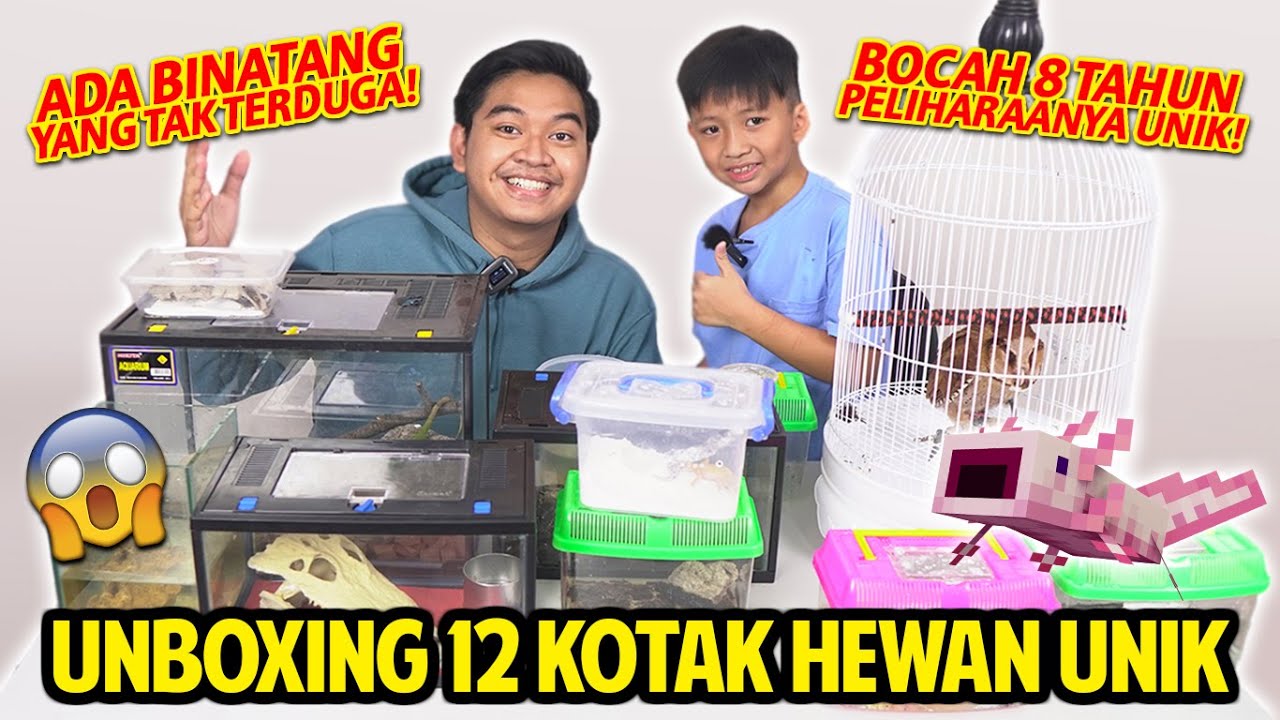 BOCAH 8 TAHUN TAPI PELIHARAANNYA UNIK SEMUA! UNBOXING 12 KOTAK HEWAN ANEH! GAK NYANGKA PELIHARA INI!