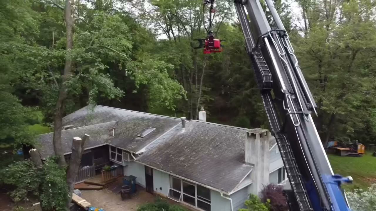 September 17- Grapple Saw Truck Tree Removal