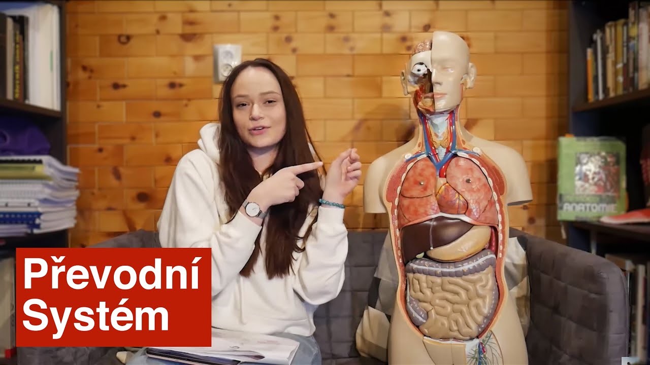 Elektrická aktivita srdce ...Struktura a funkce lidského těla