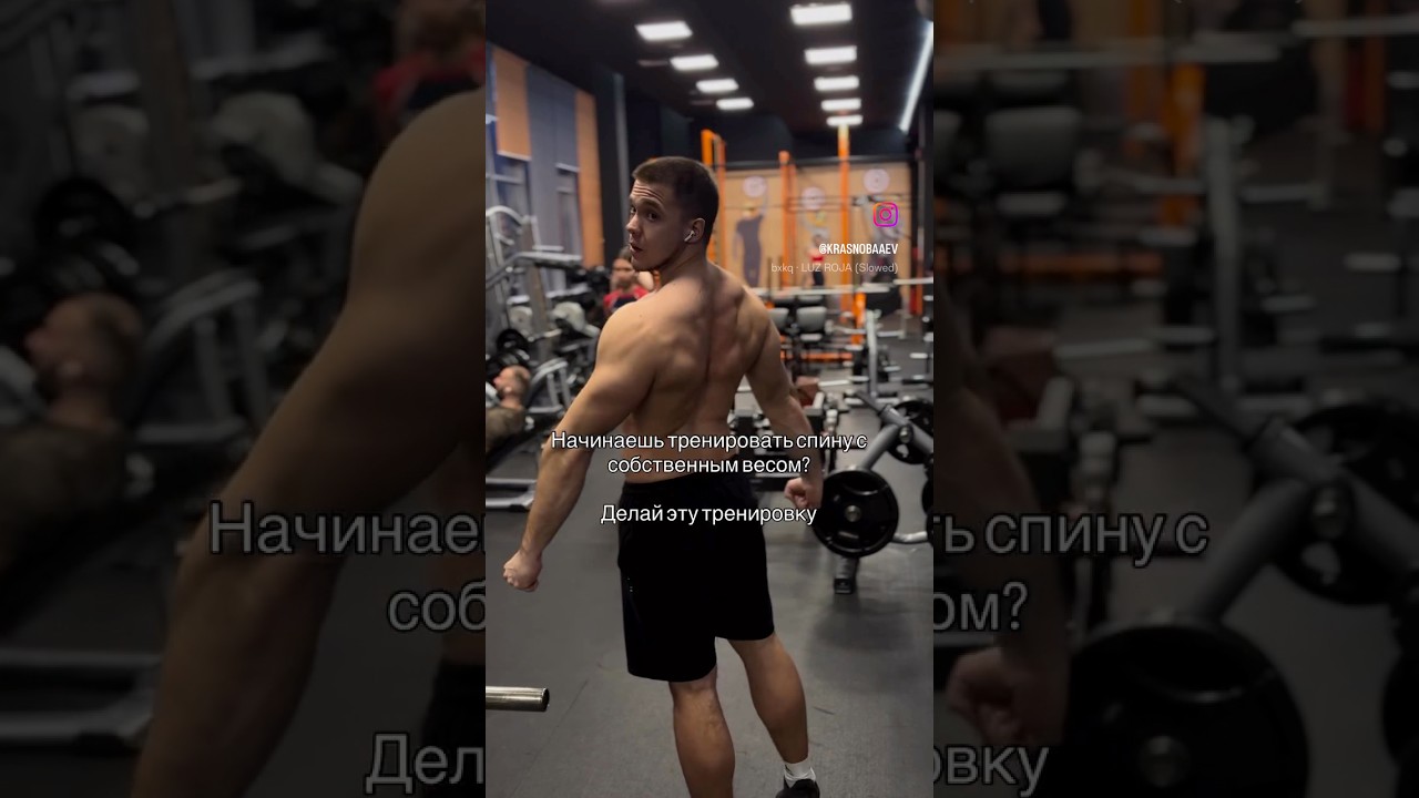 Гайд по подтягиваниям и программа тренировок в ТГ канале, ссылка на ТГ в БИО 🤝