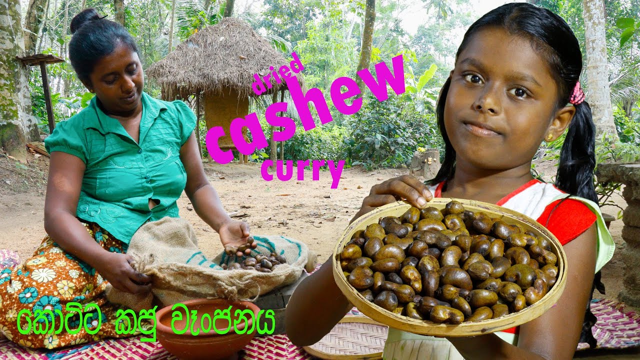 dried cashew curry/කොට්ට කජු වෑන්ජනයක් /A delicious cashew curry/village kitchen /village cooking
