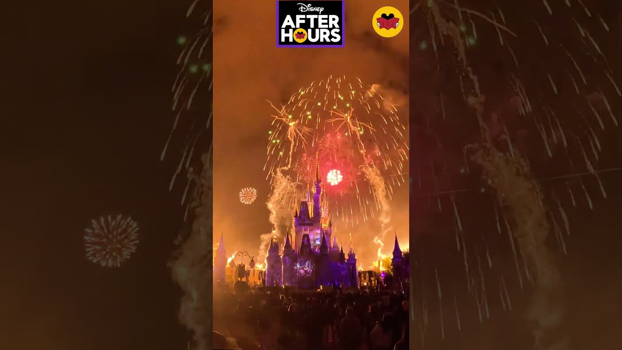 Disney Enchantment, only for a limited time! #Mouseterclass