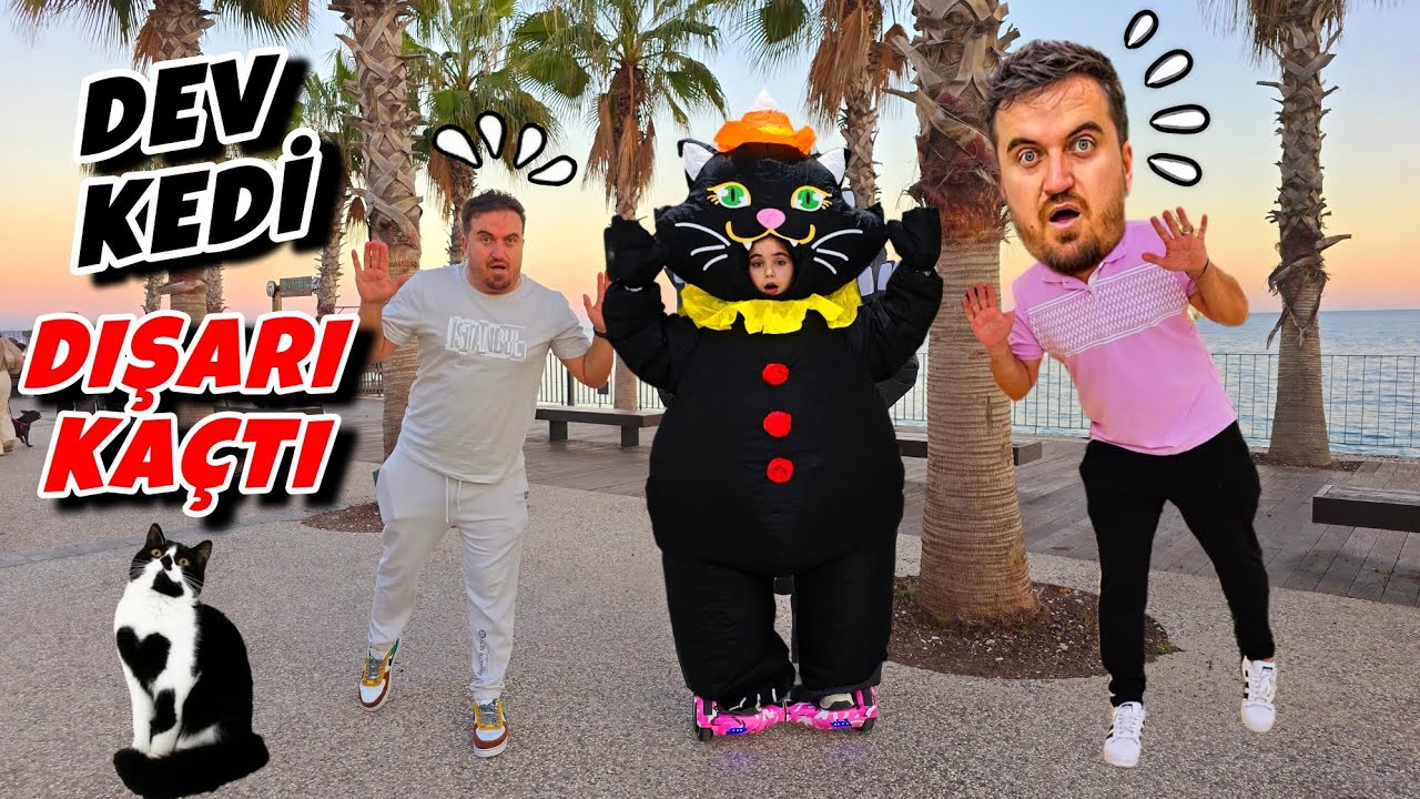 EYVAH DEV KEDİ KAÇTI ‼️ ELİF SİNEM DEV KEDİ BABANIN ARABASINI KAÇIRDI !!