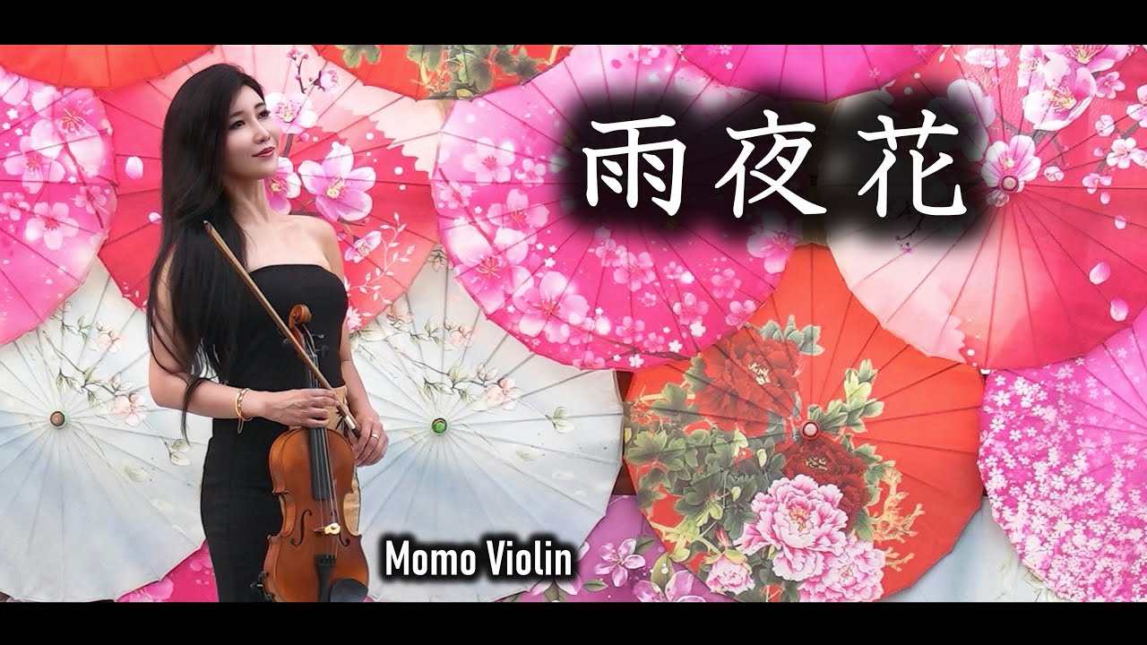 雨夜花 小提琴 (Violin Cover by Momo) 雨の夜の花 バイオリン The Torment of a Flower