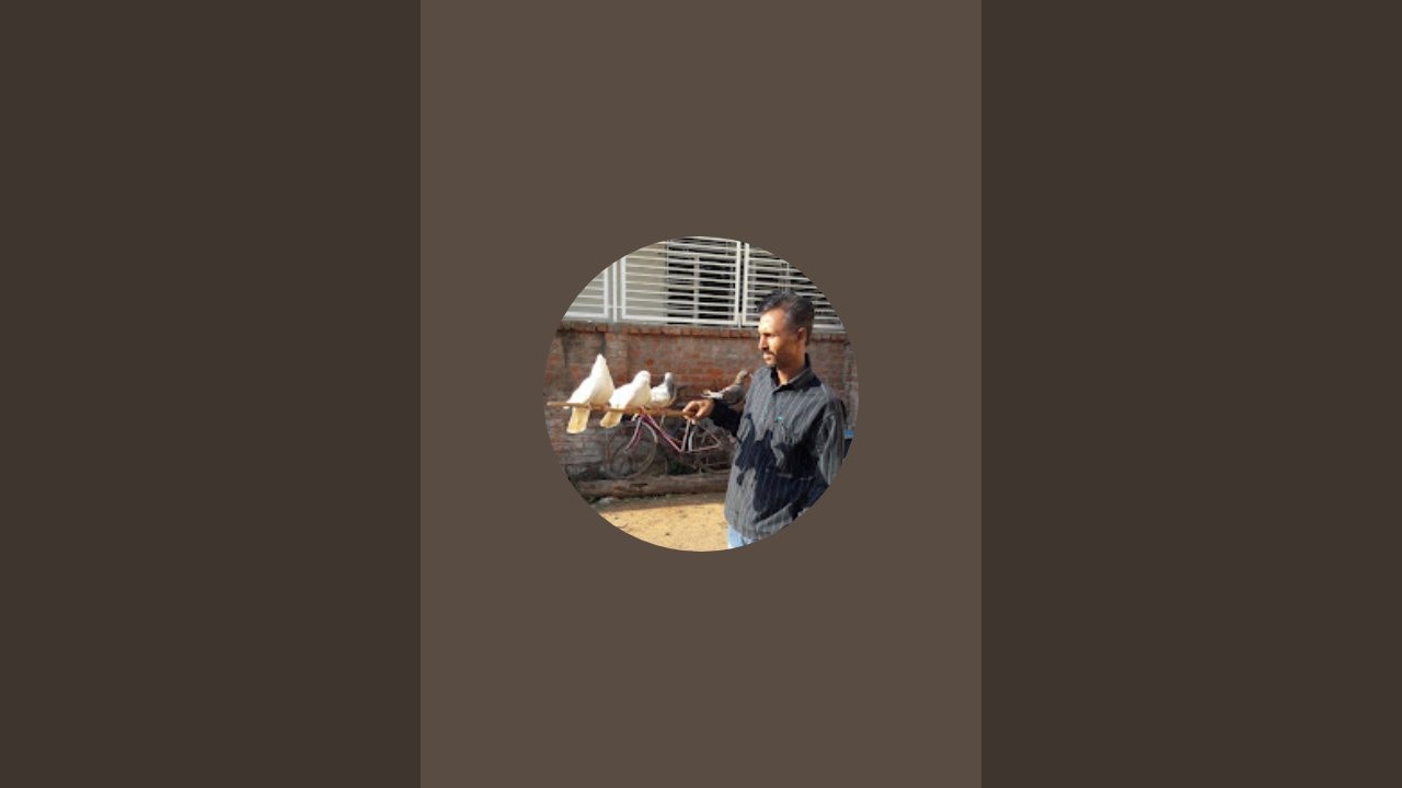 Arvind  Raval is live!   26 जनवरी की हार्दिक शुभकामनाएं दोस्तों 