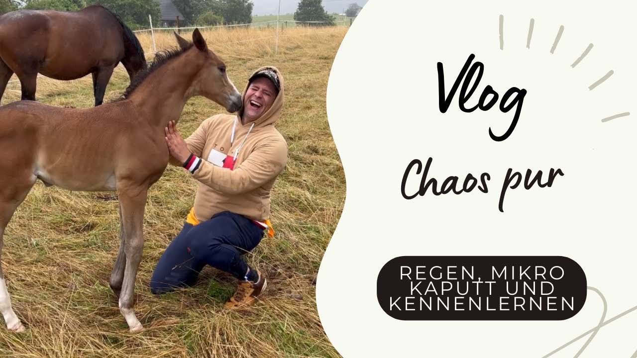 Chaostag, Mikro kaputt und das Fohlen lernt die Tanten kennen