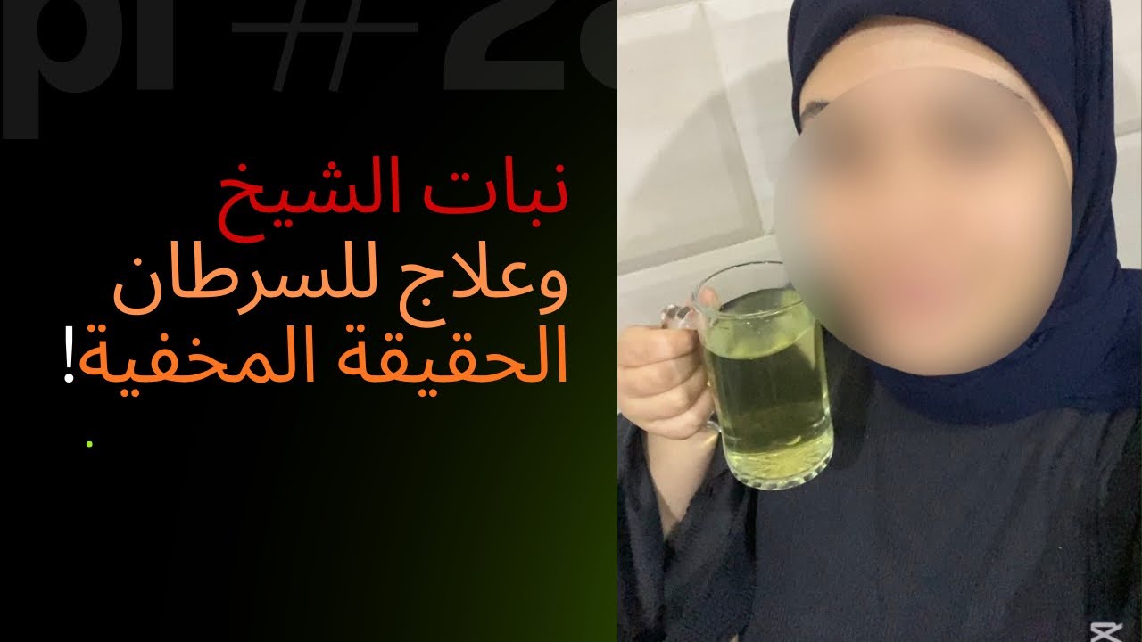 فوائد الشيح في القضاء على الأورام السرطانية _الحقيقة المخفية !!