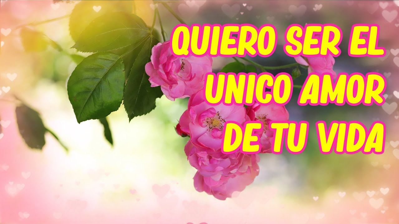 Dedicatorias Romanticas El &uacute;nico amor de mi vida Eres tu