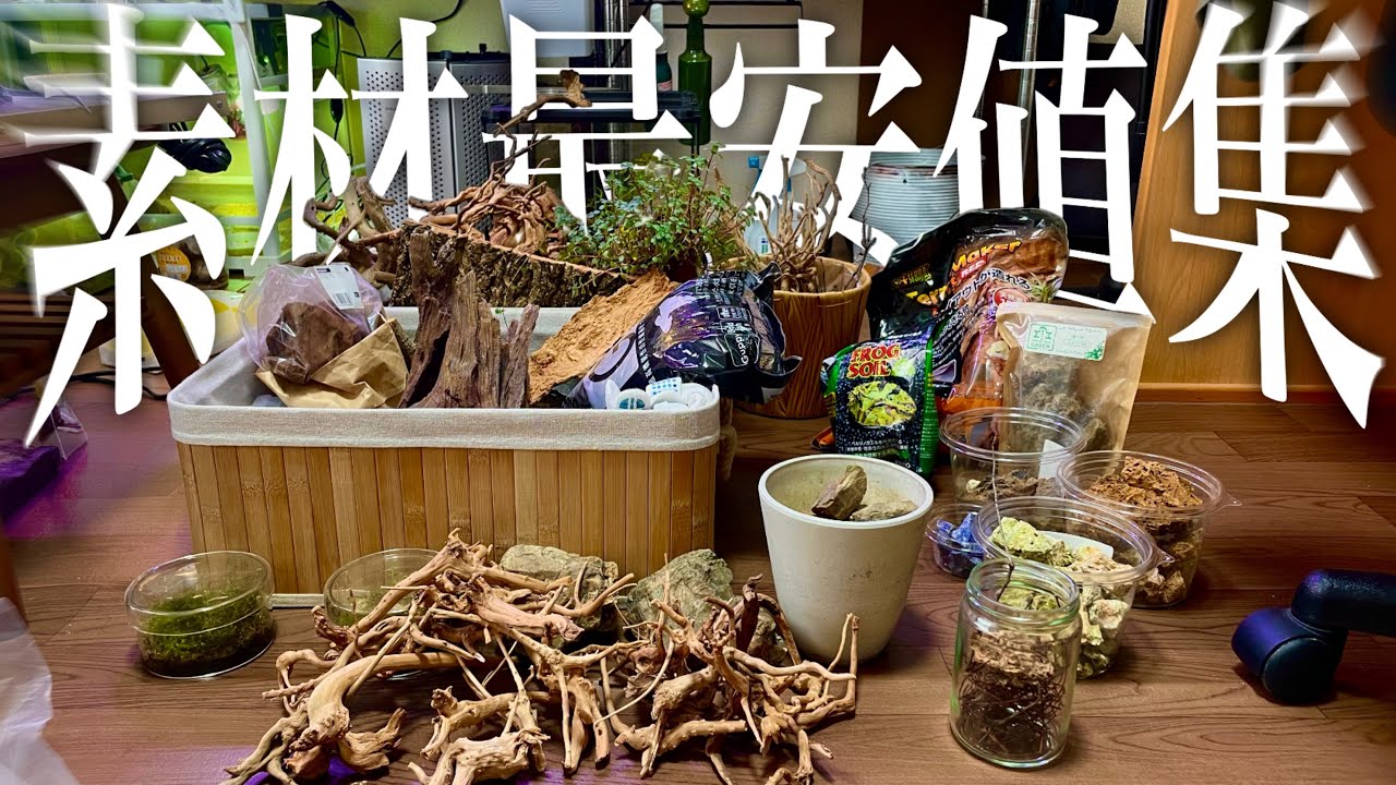 【ビバリウム・アクアリウム】レイアウト素材の1番コスパいい買い方とオススメの素材を徹底解説‼️