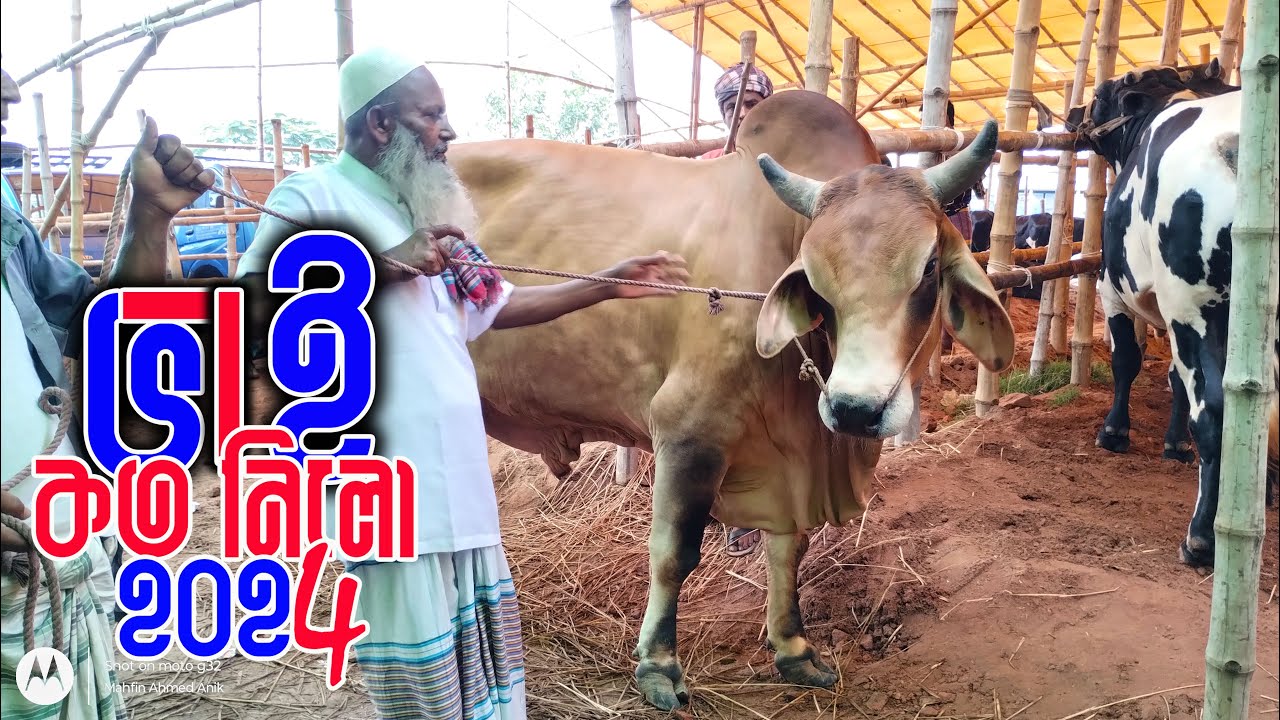 Bhai Koto Nilo?, Ashulia Cattle Market Market 2024 Qurbani Cow Price In Bangladesh PART- 1