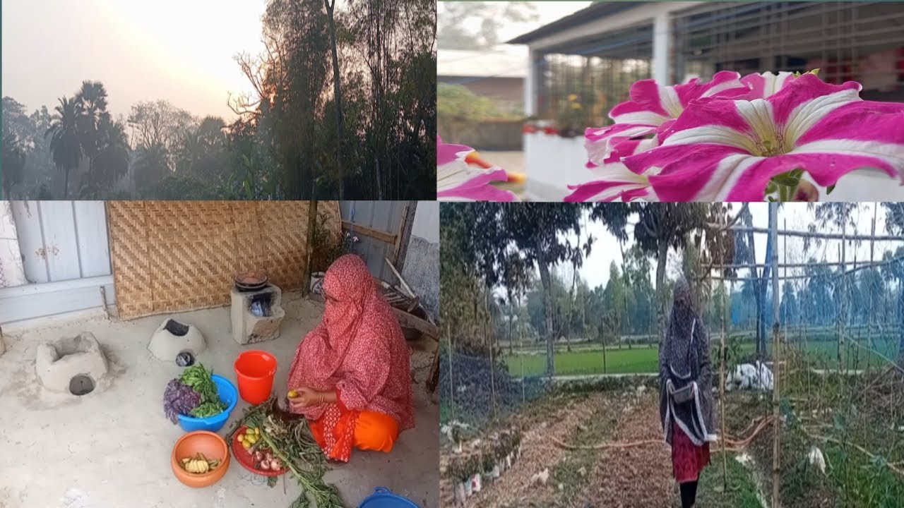 গ্রামীন পরিশ্রমী বৌ,এক সংগ্রামী সকাল ঘর থেকে চুলা লেপাগরম চুলার ধোঁয়াওঠা সংসার কর্মব্যস্ততা#village