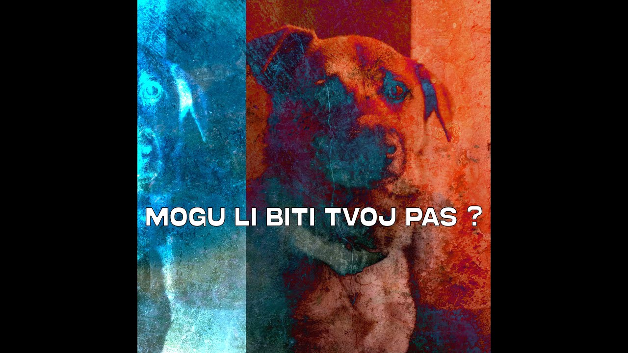 General Two - Mogu li biti tvoj pas