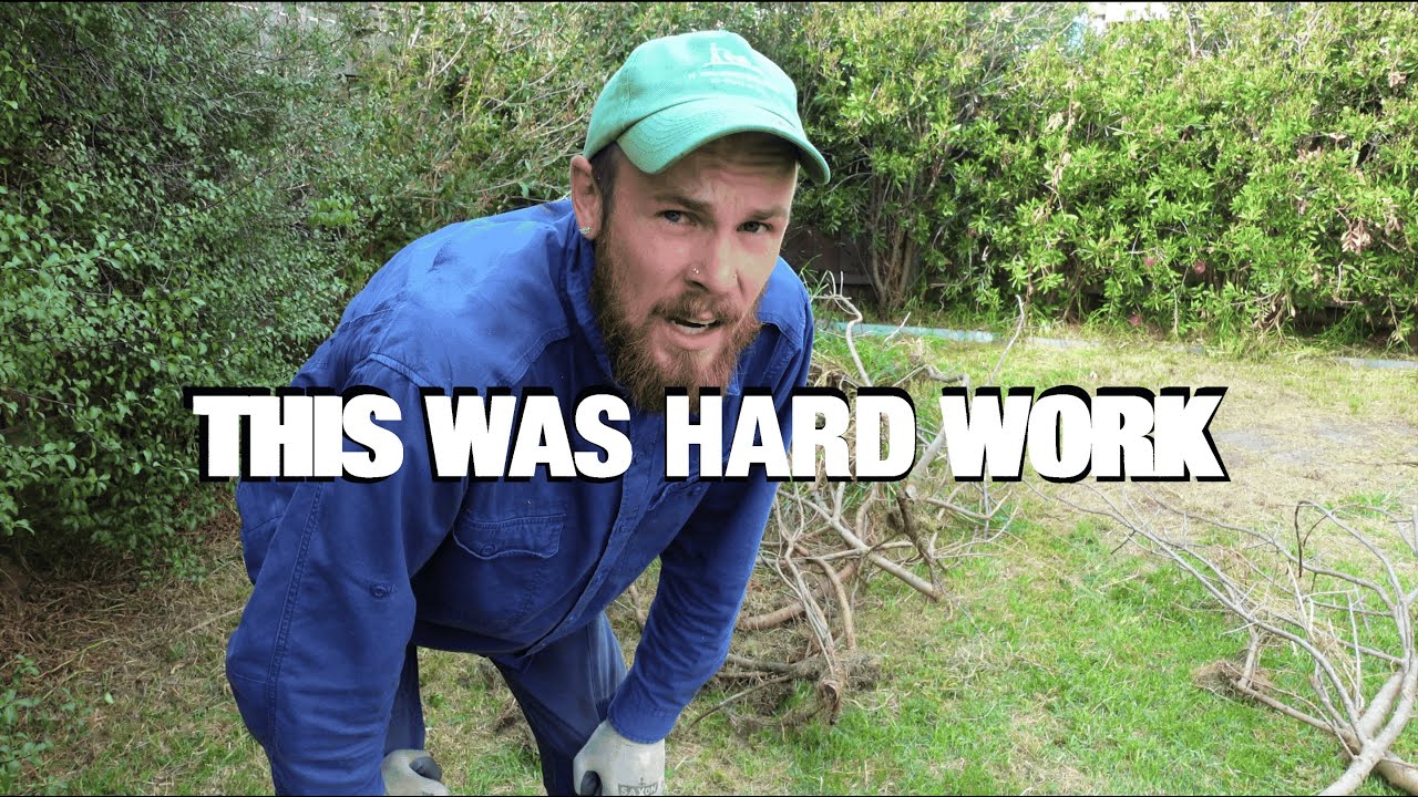 This Garden was SO Overdue For a Transformation