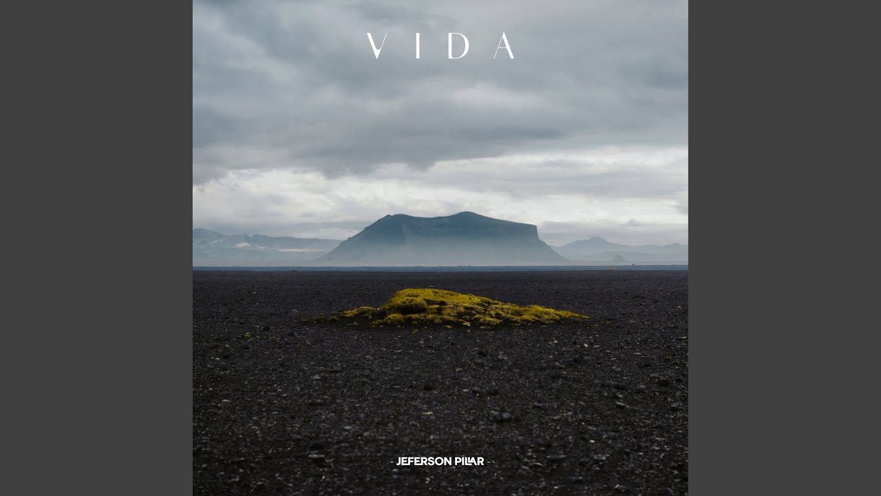 Vida