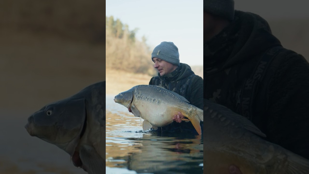 Lysec jako DEB*L pro tým TV Fish v třetím díle Masters ⁉️🤩 - sledujte na TVFish.cz
