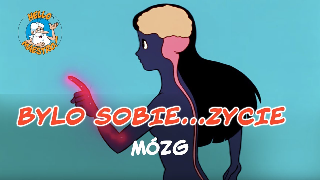 Bylo Sobie... Zycie 🌱- Mózg 🧠