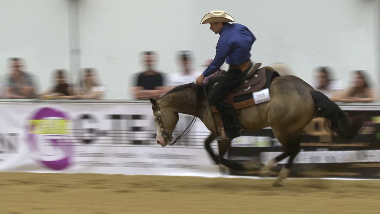 Miroslav Baniari und LIL BUBBLE GUN - NRHA Maturity Open Final 115
