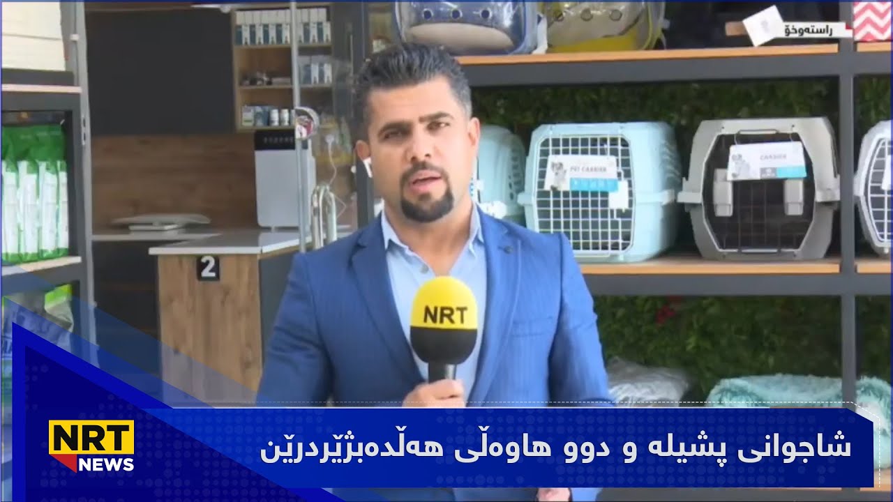 شاجوانی پشیلە و دوو هاوەڵی هەڵدەبژێردرێن