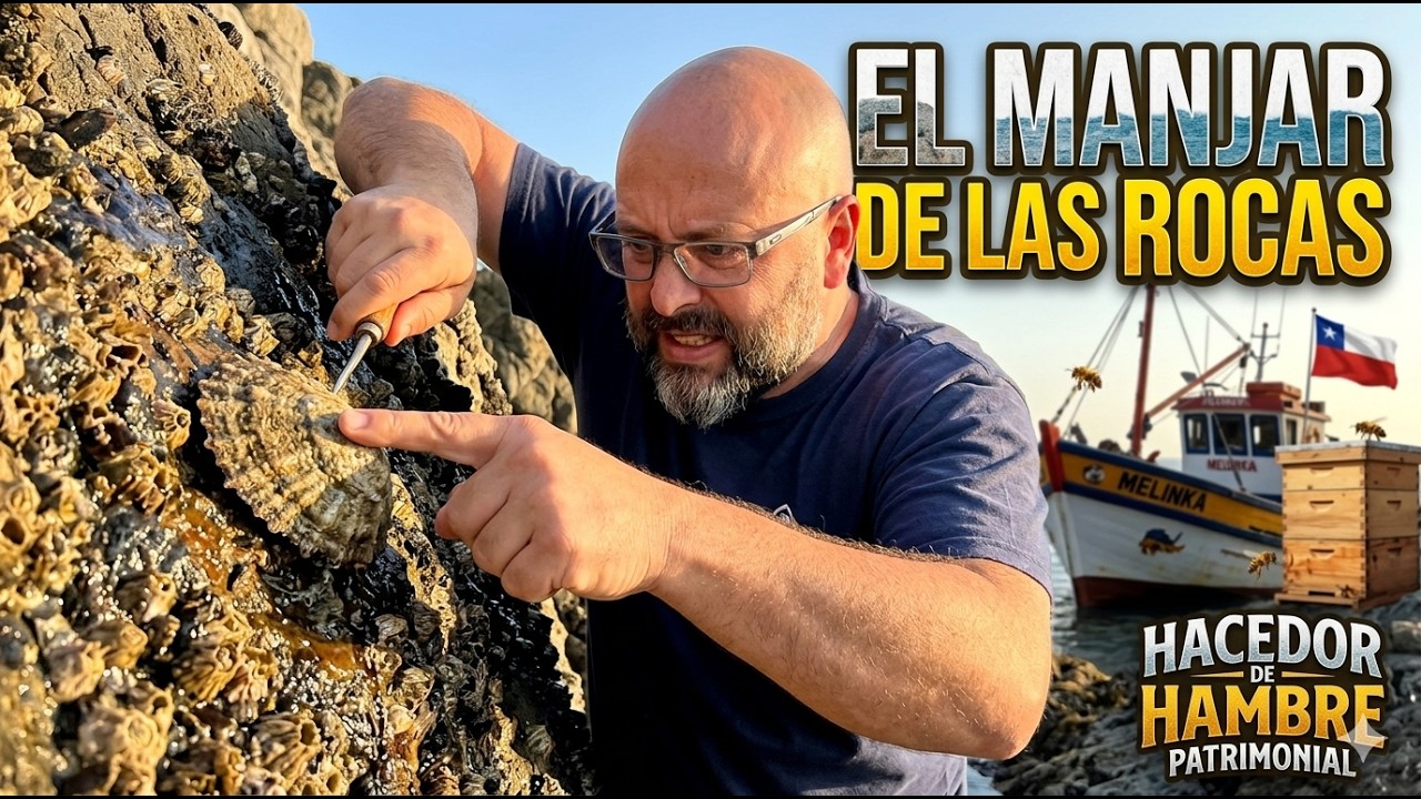HACEDOR DE HAMBRE PATRIMONIAL - LAPAS