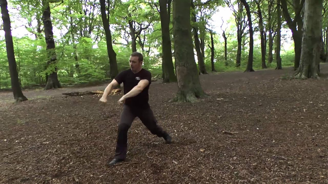 Xing Yi Quan: Ma Xing Horse Linking Sequence Demonstration (Hsing I Chuan)